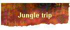 Jungle trip